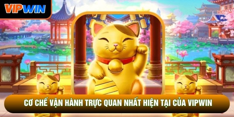 Cơ chế vận hành trực quan nhất hiện tại của Vipwin