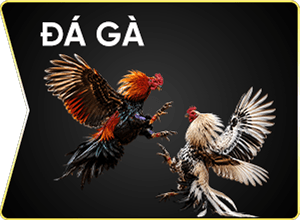 daga-vipwin