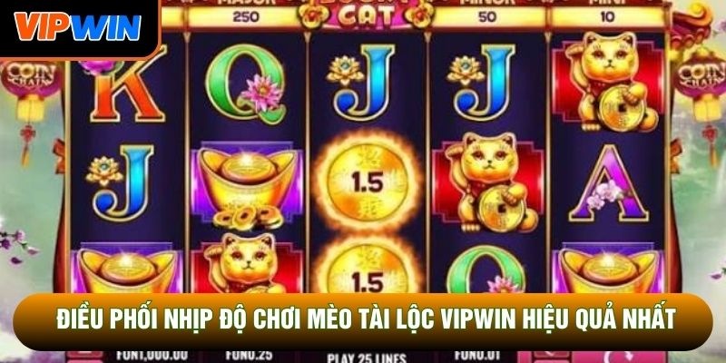 Điều phối nhịp độ chơi mèo tài lộc Vipwin hiệu quả nhất