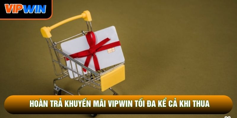 Hoàn trả khuyến mãi Vipwin tối đa kể cả khi thua
