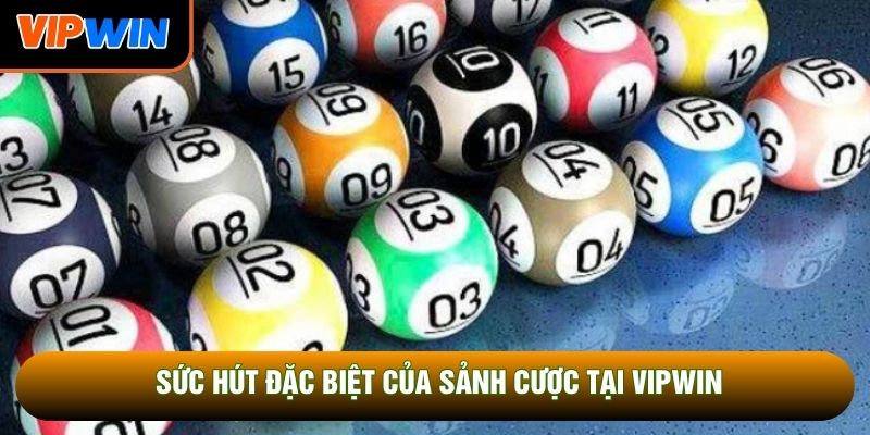 Sức hút đặc biệt của sảnh cược tại Vipwin Sức hút đặc biệt của sảnh cược tại Vipwin