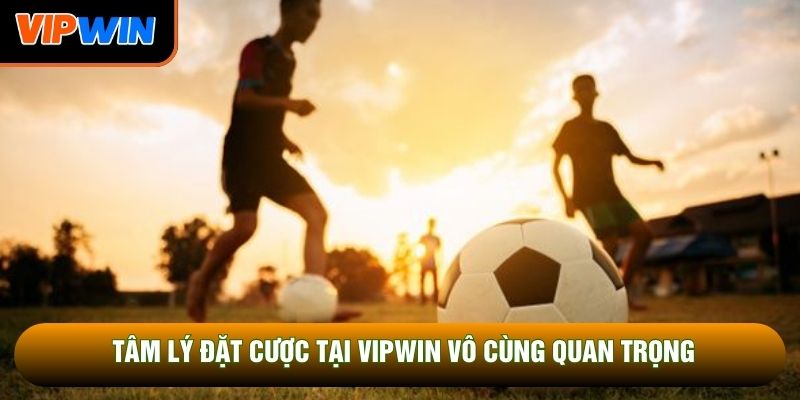 Tâm lý đặt cược tại Vipwin vô cùng quan trọng Tâm lý đặt cược tại Vipwin vô cùng quan trọng