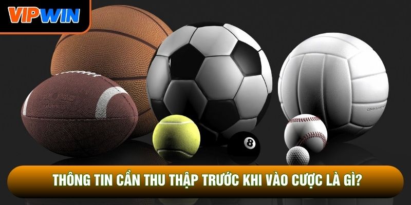 Thông tin cần thu thập trước khi vào cược là gì?
